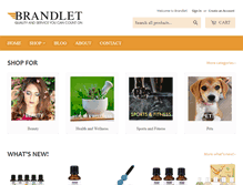 Tablet Screenshot of brandlet.com